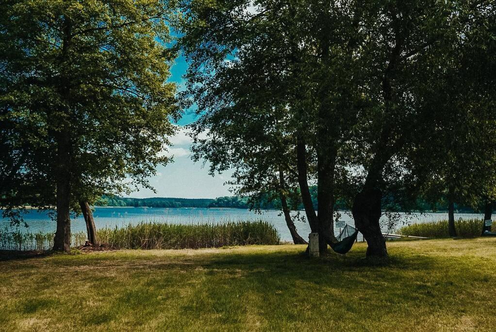Holzhaus Direkt Am See Priepert المظهر الخارجي الصورة